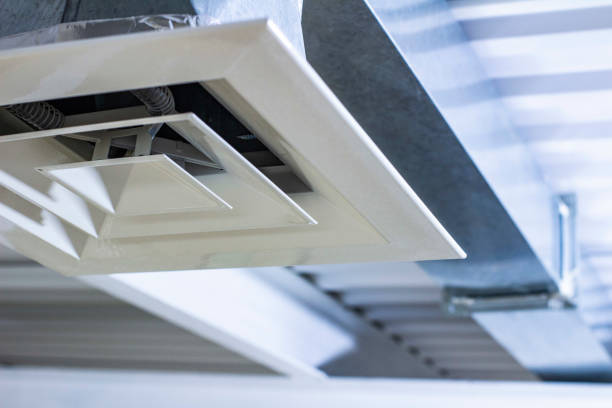 Best Air Duct Sanitizing Services  in Murraysville, NC