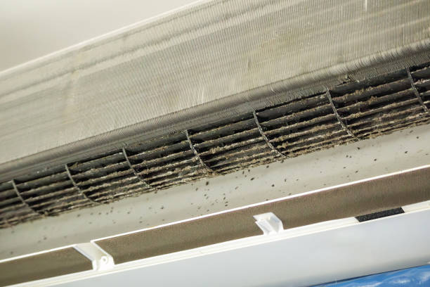 Best Air Duct Cleaning Company Near Me  in Murraysville, NC